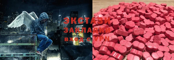 гашик Новозыбков