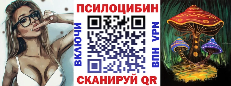 как найти наркотики  Приморско-Ахтарск  Псилоцибиновые грибы прущие грибы 